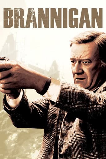 Affiche de Brannigan