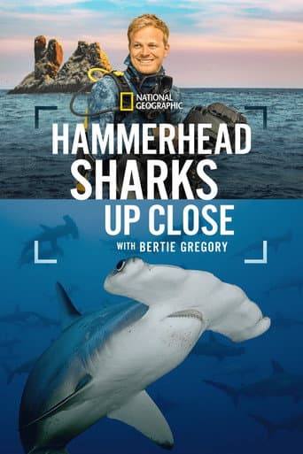 Affiche de Hammerhead Sharks Up Close with Bertie Gregory