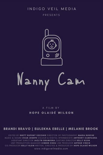 Affiche de Nanny Cam