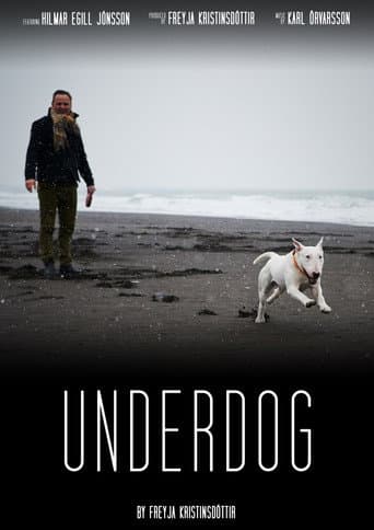 Affiche de Rjómi