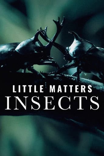 Affiche de Little Matters: Insects