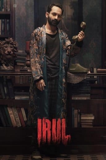 Affiche de Irul