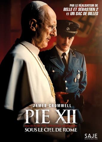 Affiche de Pie XII, sous le ciel de Rome