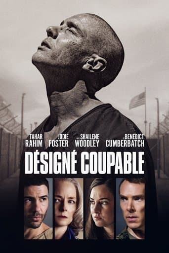 Affiche de Désigné coupable
