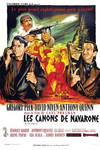 Affiche de Les Canons de Navarone