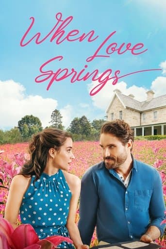 Affiche de Coup de foudre et petits arrangements