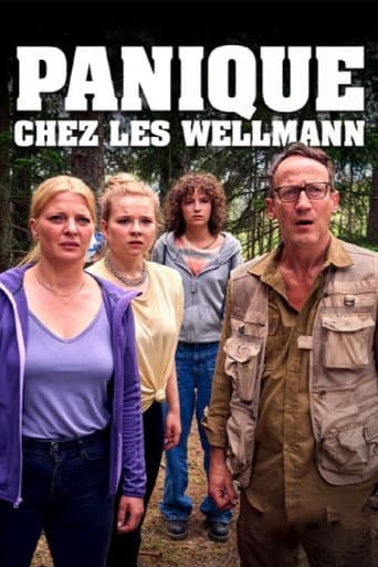 Affiche de Panique chez les Wellmann