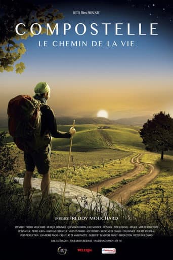 Affiche de Compostelle, le chemin de la vie