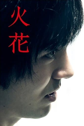 Affiche de 火花