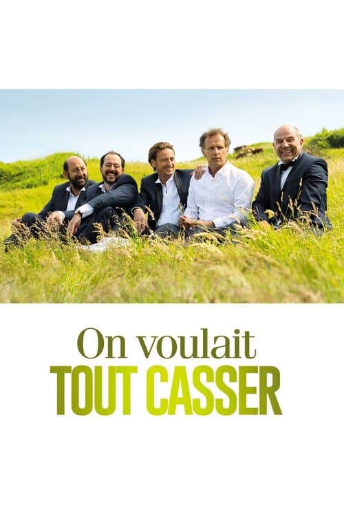 Affiche de On voulait tout casser