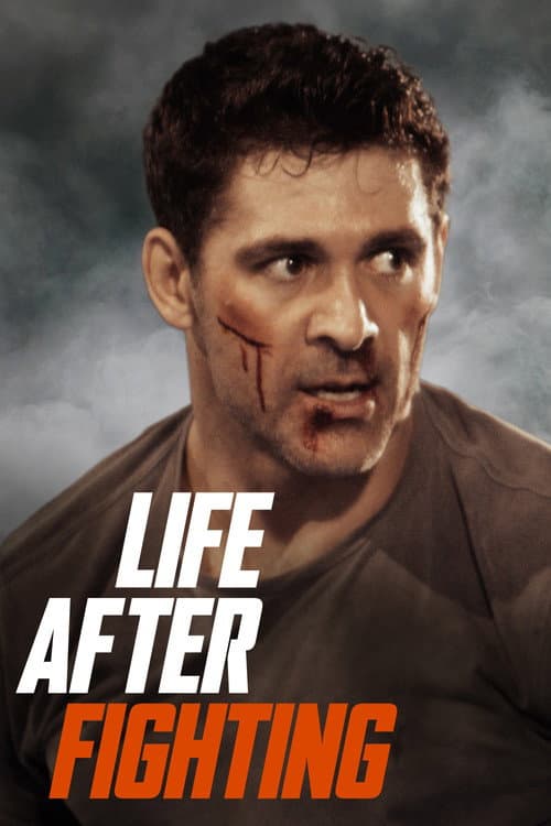 Affiche de Life After Fighting