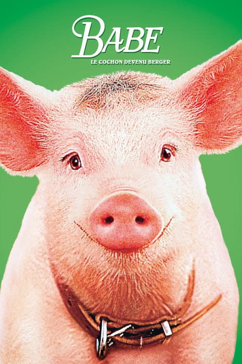 Affiche de Babe, le cochon devenu berger