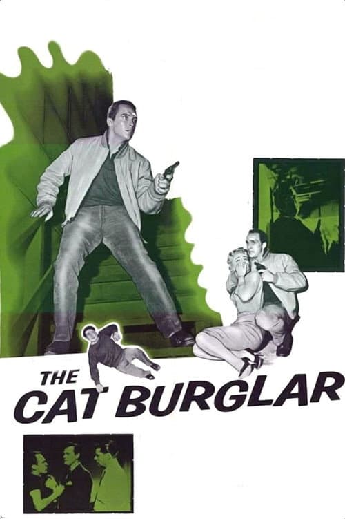 Affiche de The Cat Burglar
