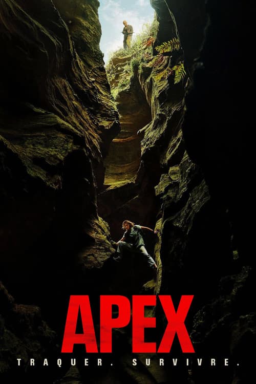 Affiche de Apex