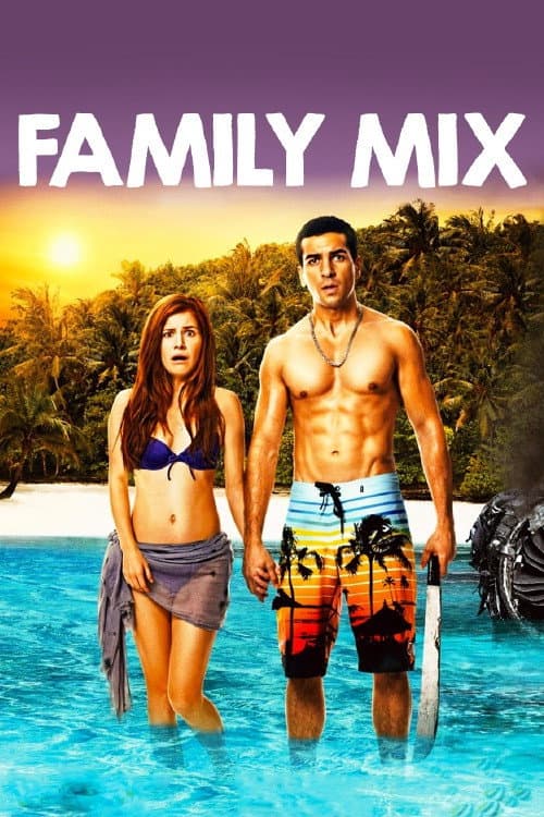 Affiche de Family Mix