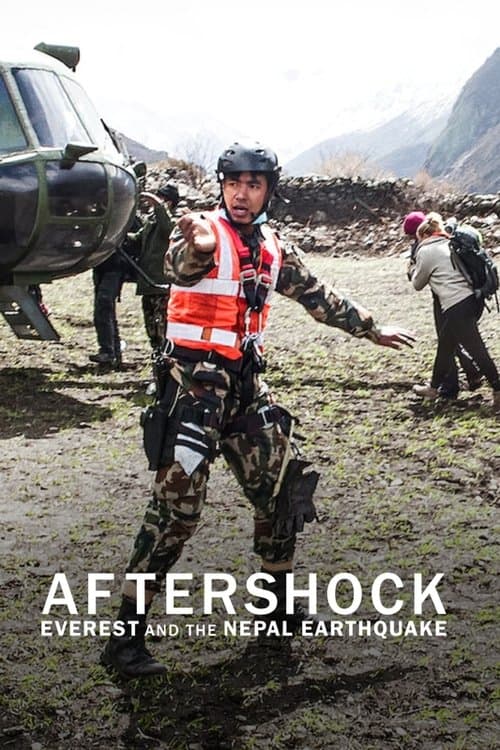 Affiche de Aftershock : Séisme sur le toit du monde