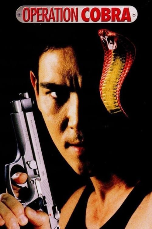 Affiche de Operation Cobra