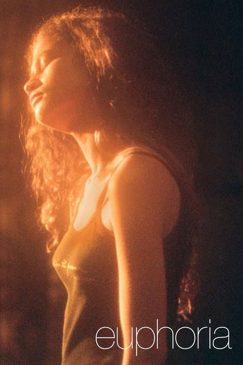 Affiche de Euphoria: A Look Back