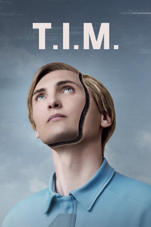 Affiche de T.I.M.