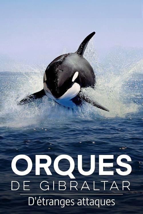 Affiche de Orques de Gibraltar : D'étranges attaques