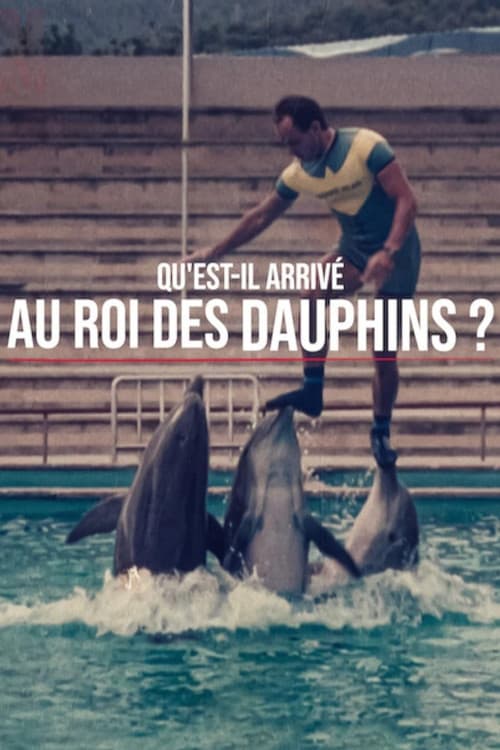 Affiche de Qu'est-il arrivé au roi des dauphins ?