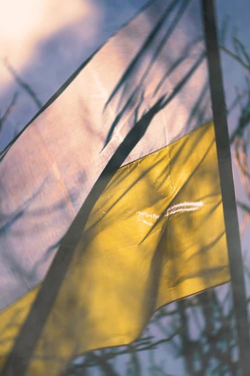Affiche de Despair and Defiance: The Battle for Ukraine
