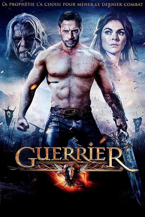 Affiche de Guerrier