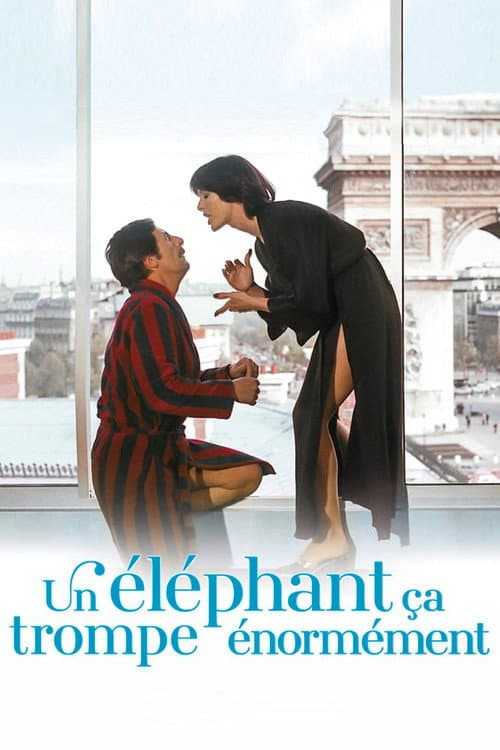 Affiche de Un éléphant ça trompe énormément