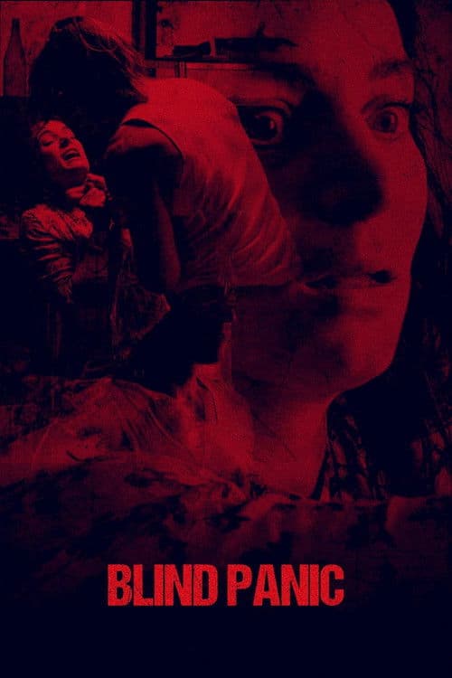 Affiche de Blind Panic