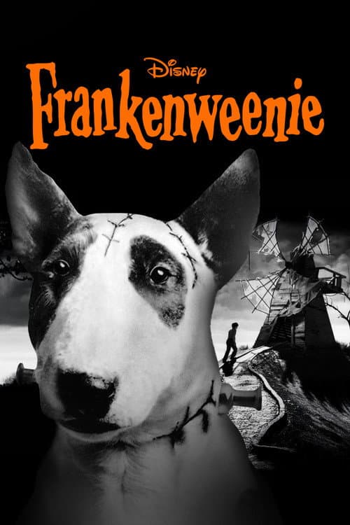 Affiche de Frankenweenie