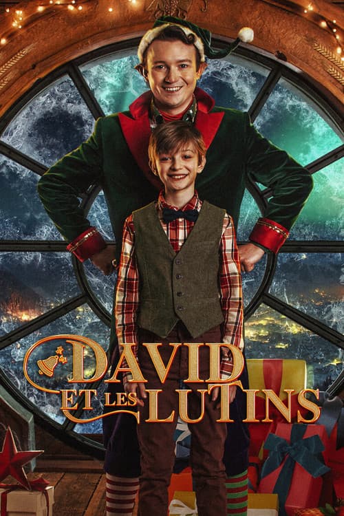 Affiche de David et les lutins