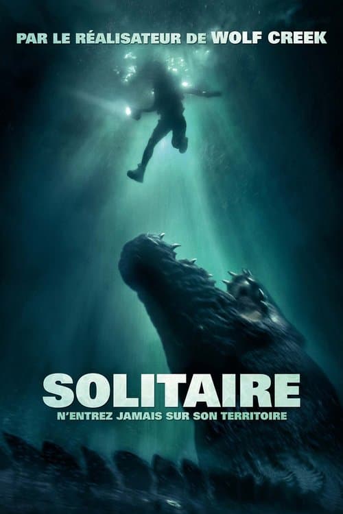 Affiche de Solitaire