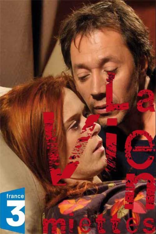 Affiche de La Vie en miettes
