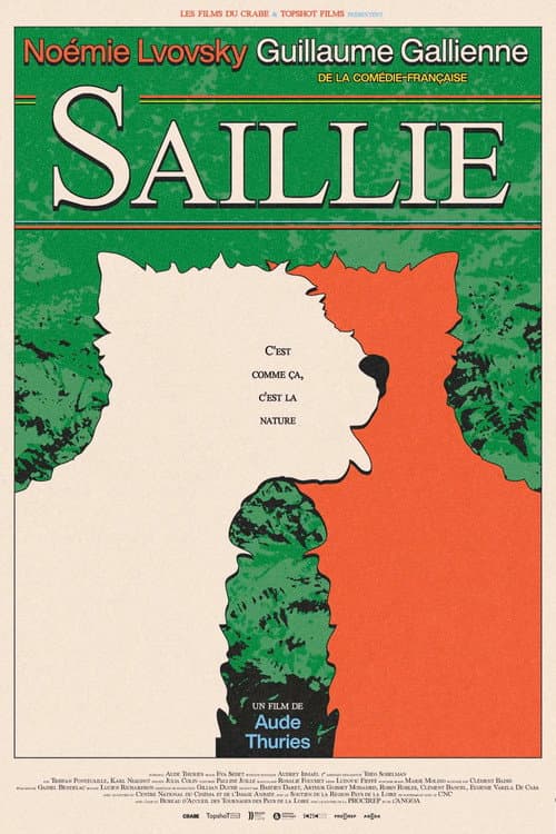 Affiche de Saillie