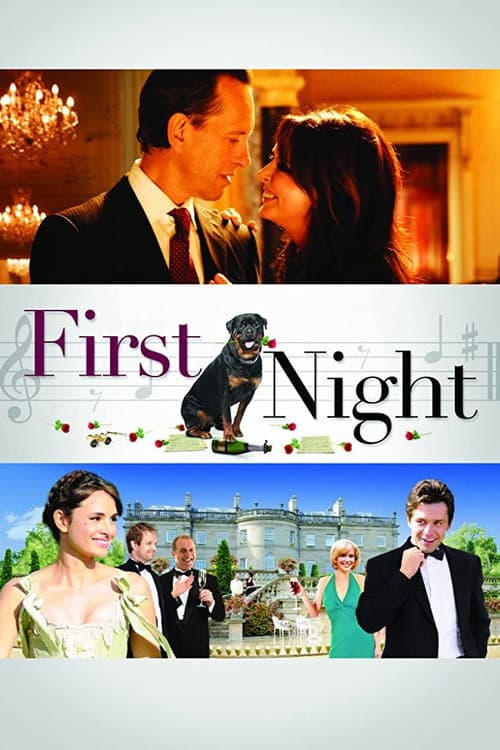 Affiche de First Night