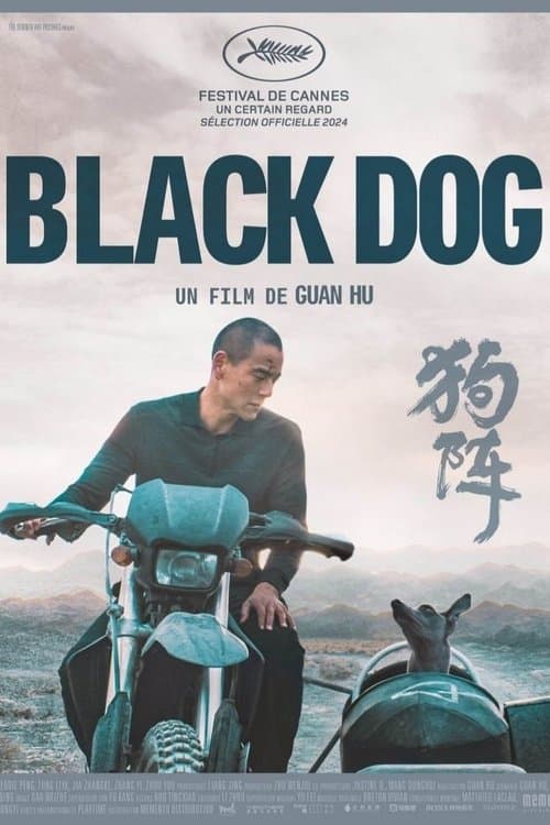 Affiche de Black Dog