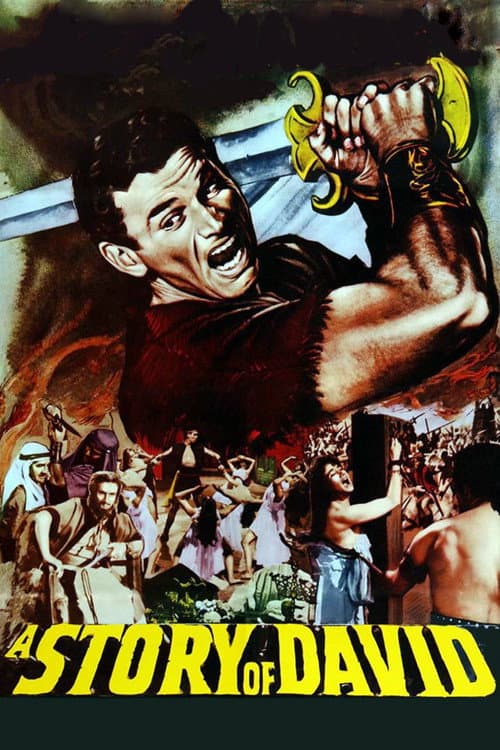Affiche de Une histoire de David