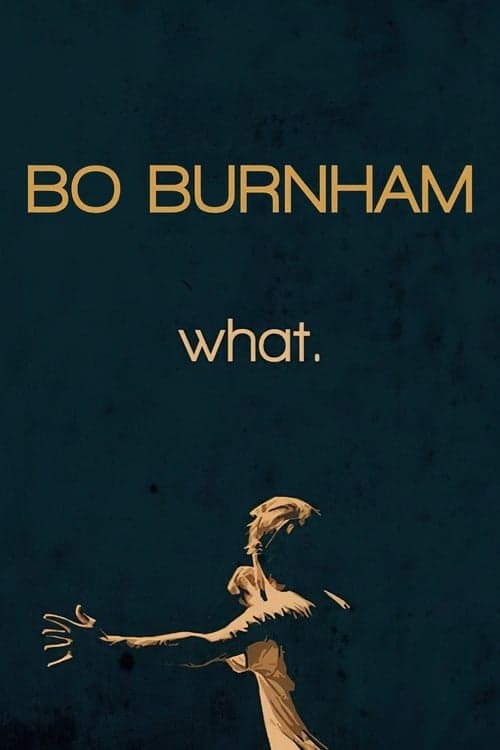 Affiche de Bo Burnham: What.