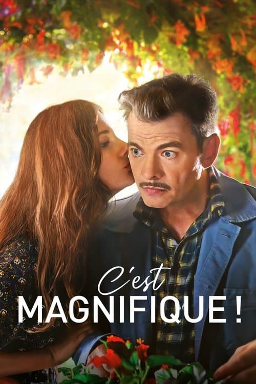 Affiche de C'est magnifique !