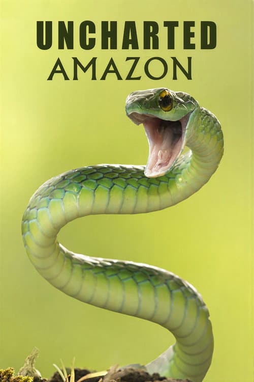 Affiche de Uncharted Amazon