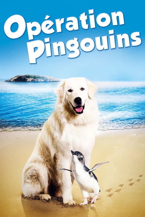 Affiche de Opération Pingouins