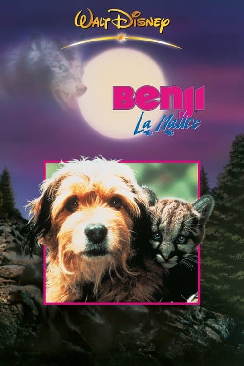 Affiche de Benji la malice