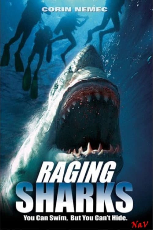 Affiche de Requins tueurs