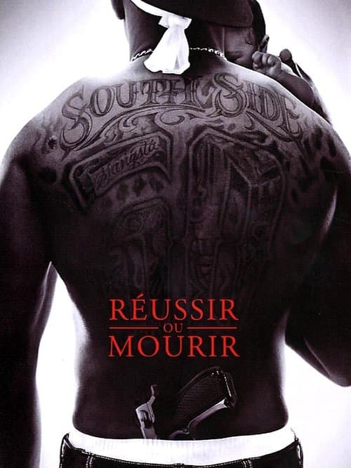 Affiche de Réussir ou mourir