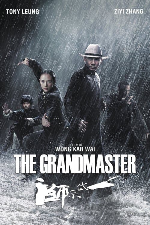 Affiche de The Grandmaster
