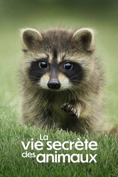 Affiche de La Vie secrète des animaux