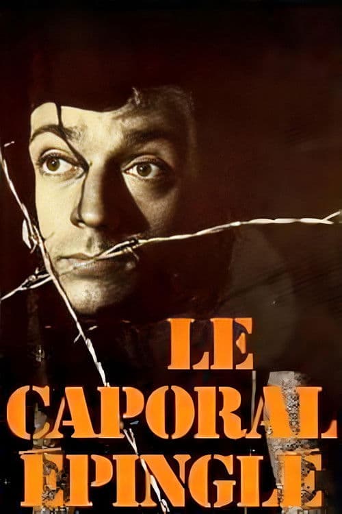 Affiche de Le Caporal épinglé