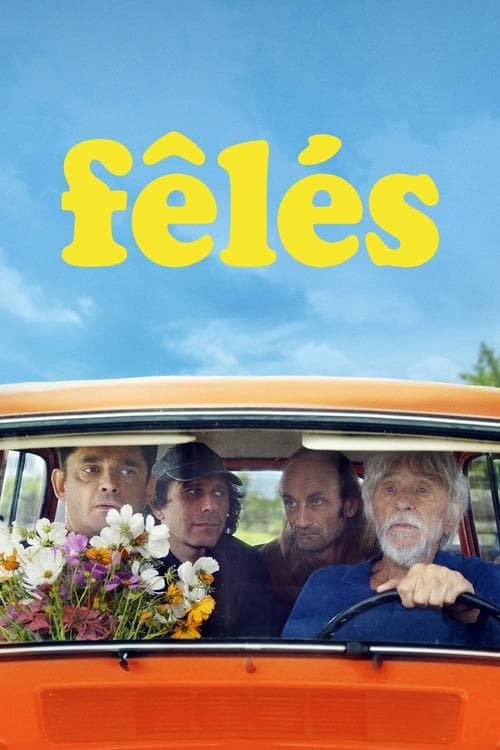 Affiche de Fêlés