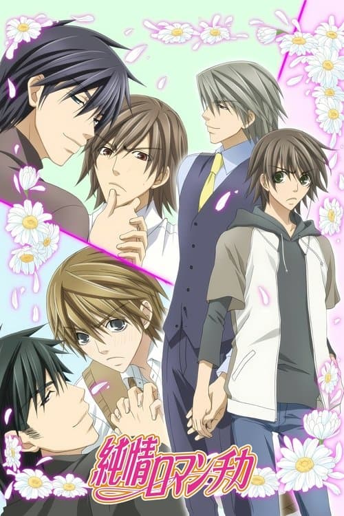 Affiche de Junjou Romantica