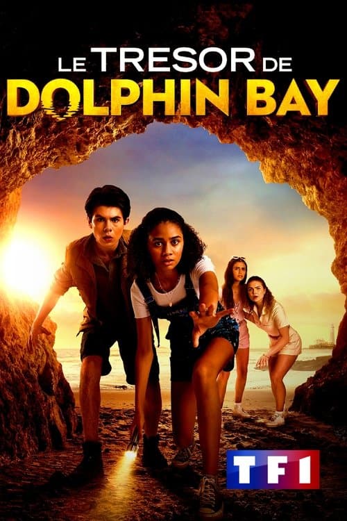 Affiche de Le Trésor de Dolphin Bay